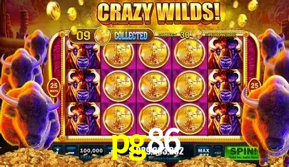 Sistemas de Segurança pg86